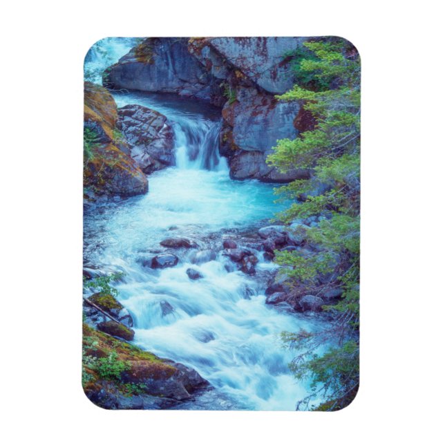 Hamma Hamma Bäck Magnet (Vertikal)
