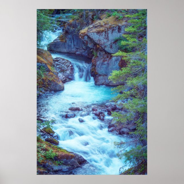 Hamma Hamma Bäck Poster (Framsidan)