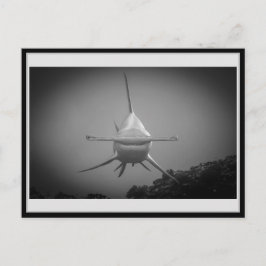 Hammer head shark BW 001 Carte postale ハ ン ー ヘ ッ Vykort