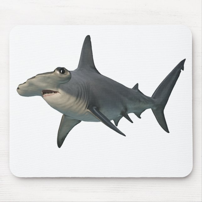 Hammerhead Shark Musmatta (Framsidan)