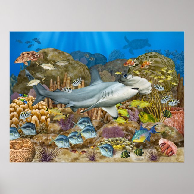 Hammerhead Shark over Coral Reef Poster (Framsidan)