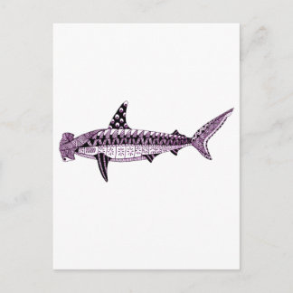 Hammerhead Shark Vykort