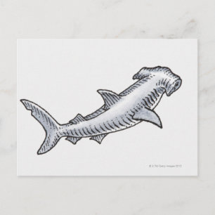 Hammerhead Shark Vykort