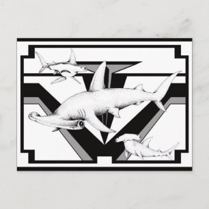 Hammerhead Shark-vykort Vykort