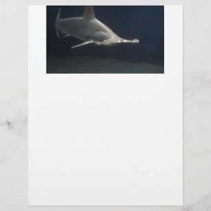 Hammerheadhaj