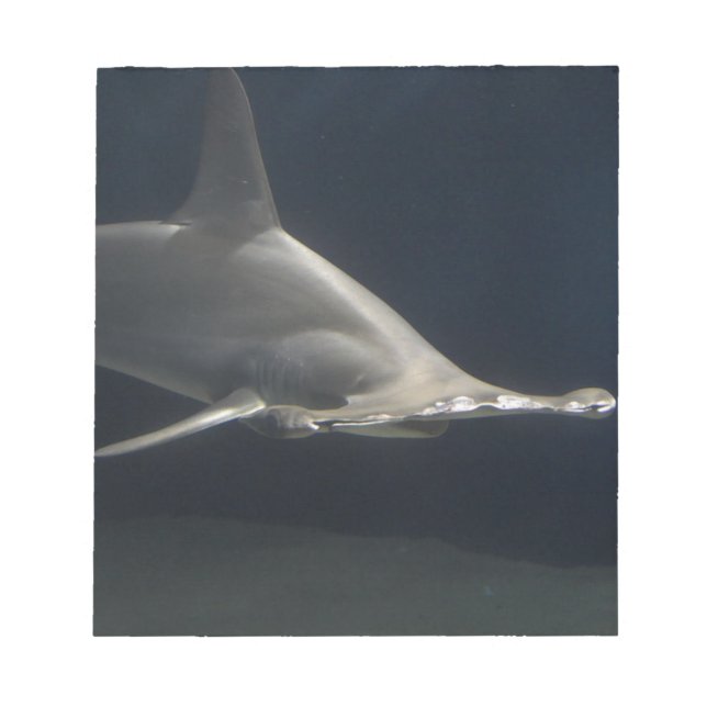 Hammerheadhaj Anteckningsblock (Framsida)