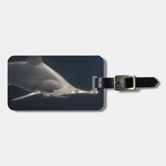 Hammerheadhaj Bagagebricka (Horisontell Framsida)
