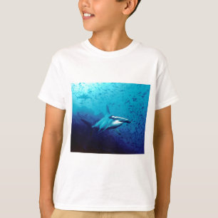 Hammerheadhaj Tee