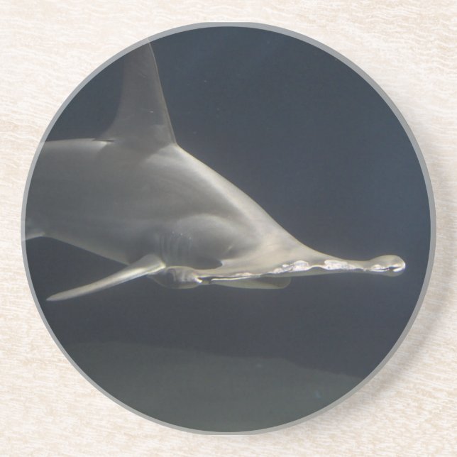 Hammerheadhaj Underlägg (Framsidan)