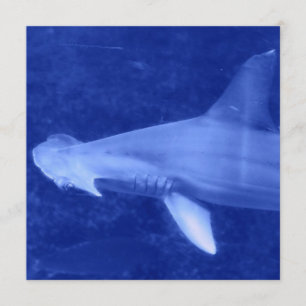 Hammerheadhajinbjudningar Inbjudningar