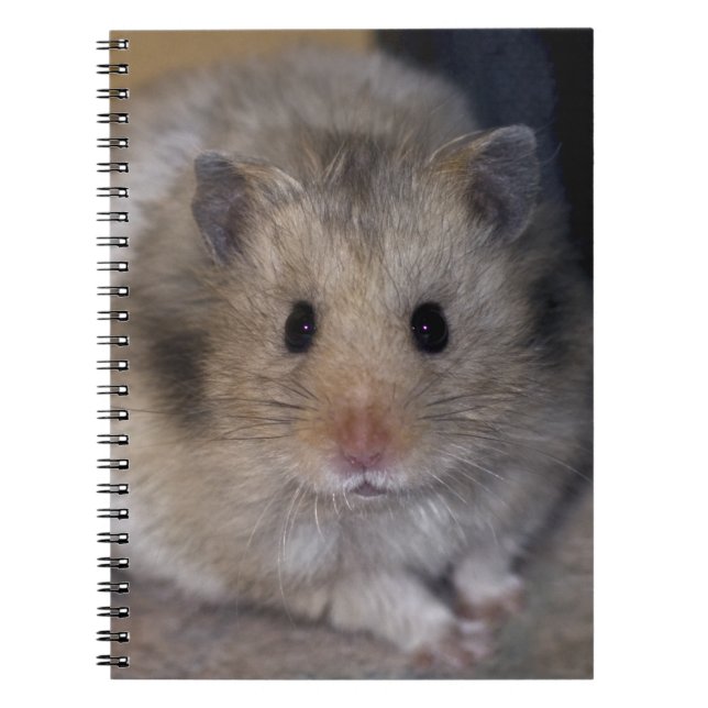 Hammie anteckningsbok med spiral (Framsidan)