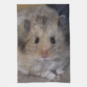 Hammie kökshandduk