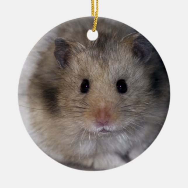 Hammie Ornament (Framsidan)