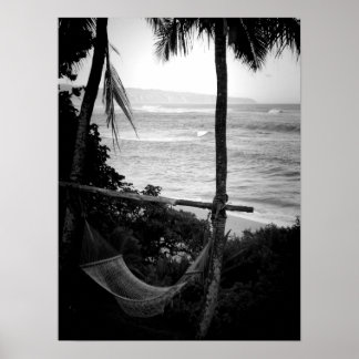 Hammock Overlook North Shore Poster