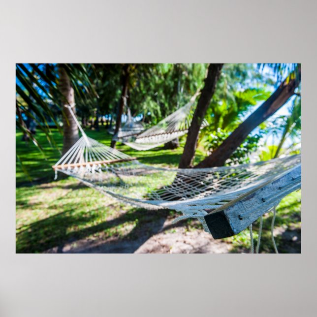 Hammock på stranden, Fiji Poster (Framsidan)