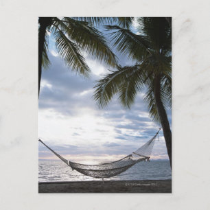 Hammock Vykort