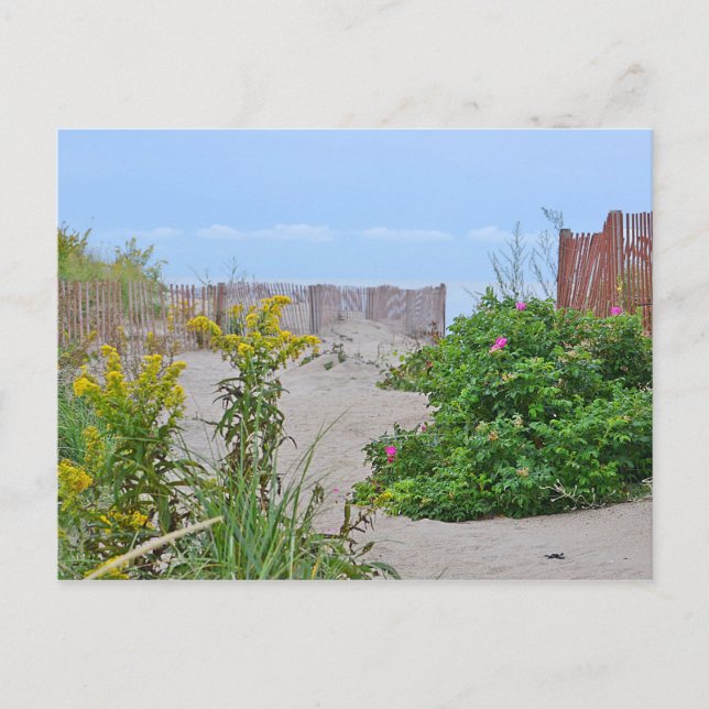 Hammonasset Beach-vykort Vykort (Framsida)