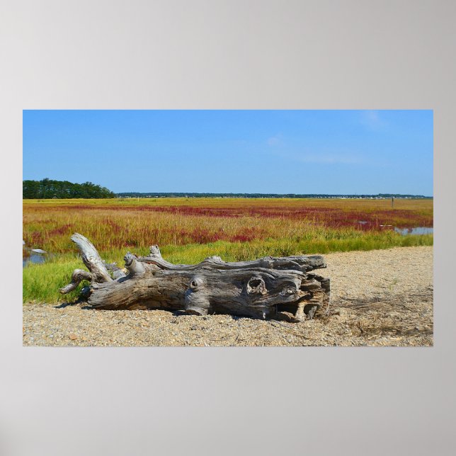 Hammonasset Driftwood Poster (Framsidan)