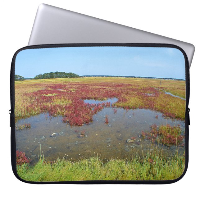 Hammonasset Marsh Laptop sleeve (Framsidan)