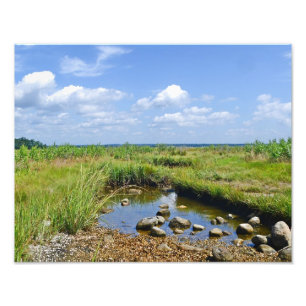 Hammonasset Marsh Photo Print Fototryck