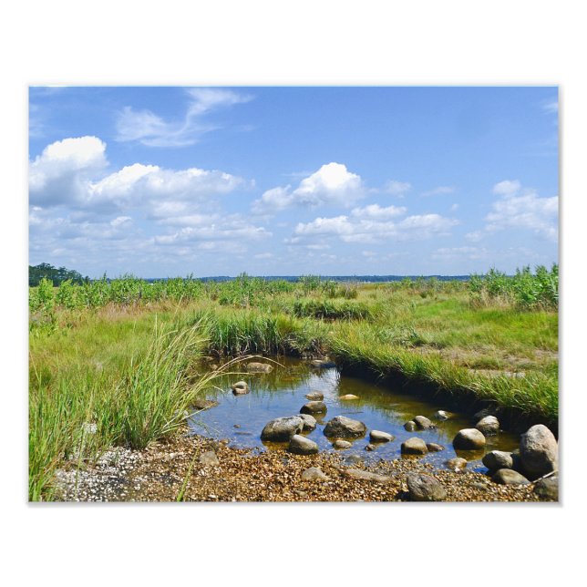 Hammonasset Marsh Photo Print Fototryck (Framsidan)