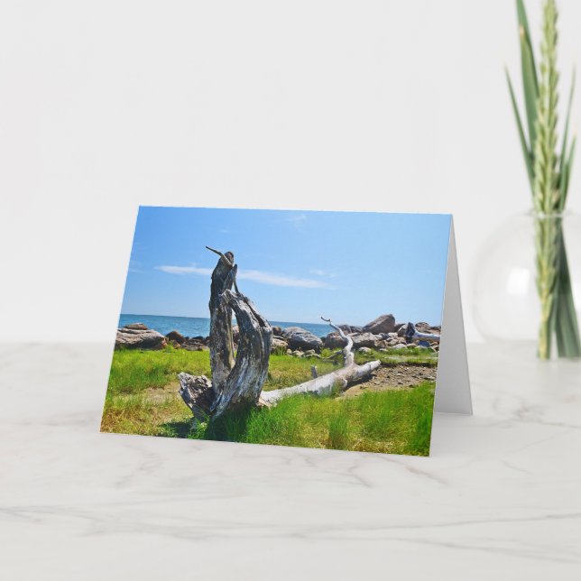 Hammonasset Notecard Kort (Framsida)