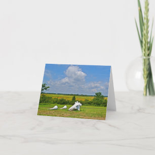 Hammonasset Notecard Kort