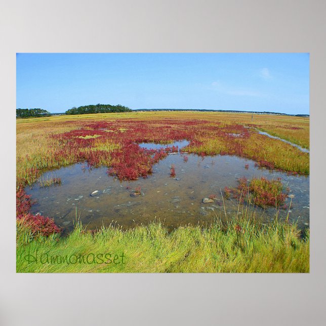Hammonasset Poster (Framsidan)