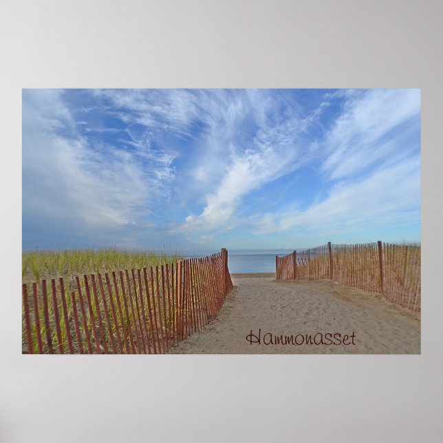 Hammonasset Poster (Framsidan)