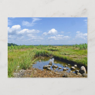 Hammonasset-vykort Vykort