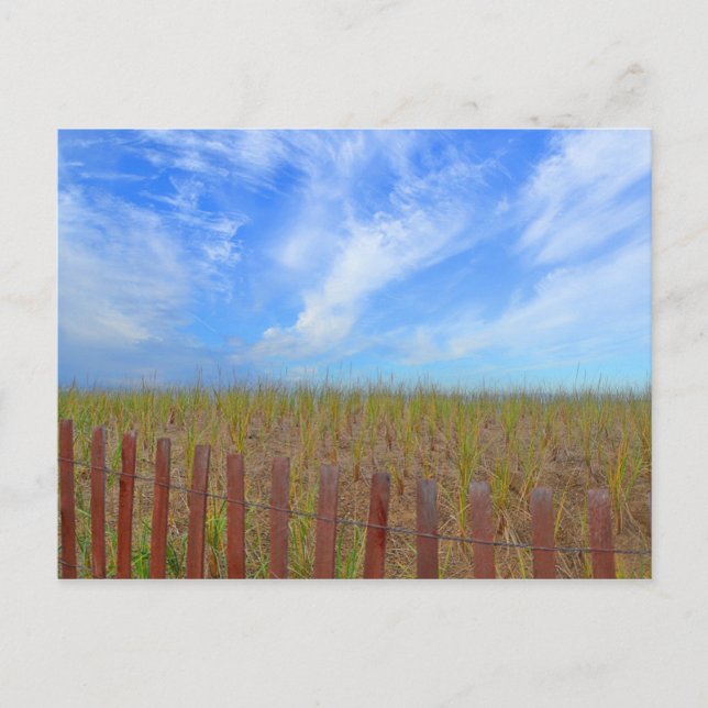 Hammonasset-vykort Vykort (Framsida)