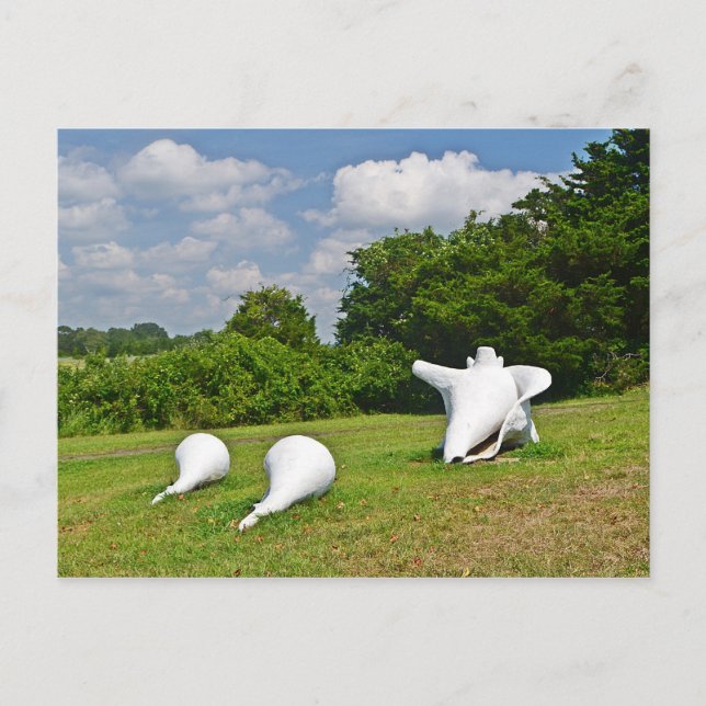 Hammonasset-vykort Vykort (Framsida)