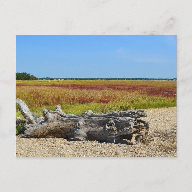 Hammonasset-vykort Vykort (Framsida)