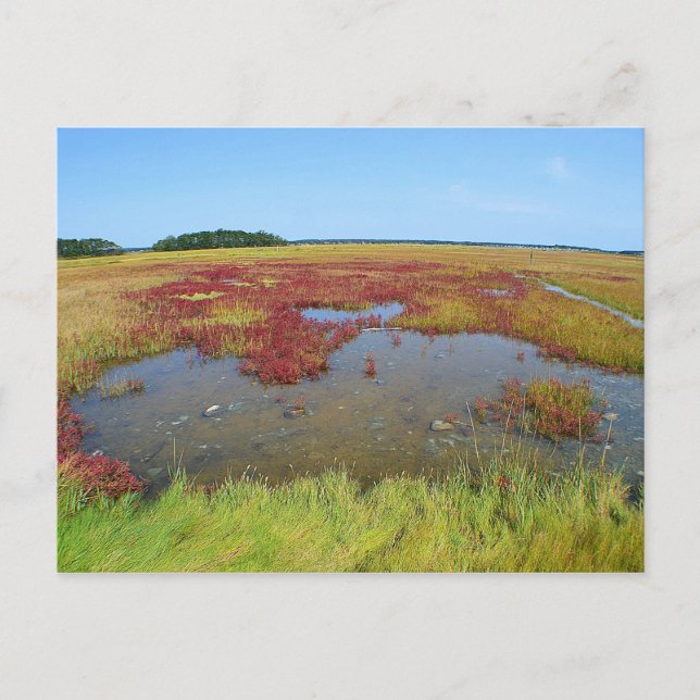 Hammonasset-vykort Vykort (Framsida)