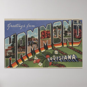 Hammond, Louisiana - Large Brev Scenes Poster
