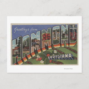 Hammond, Louisiana - Large Brev Scenes Vykort