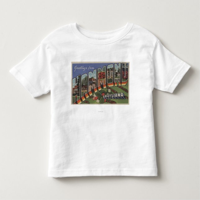 Hammond Louisiana - stora brevplatser T-shirt (Framsida)