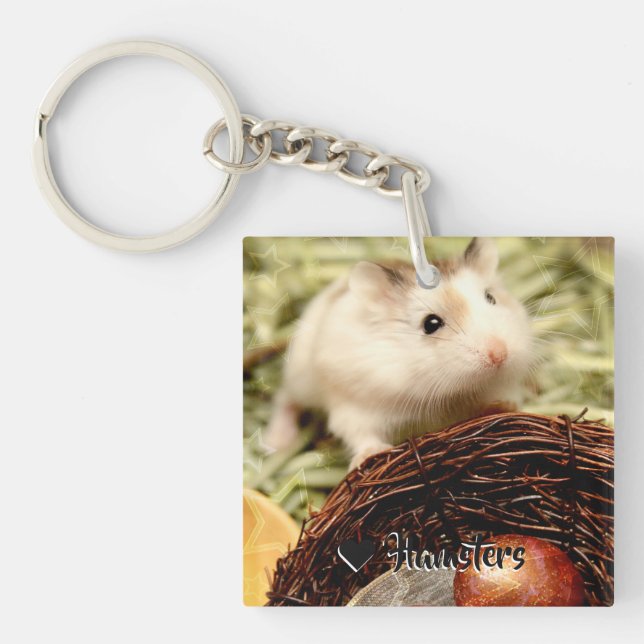 Hammyville - Cute Hamster (Framsidan)