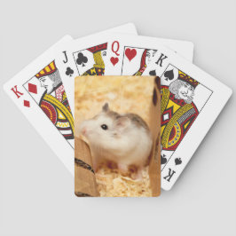 Hammyville - Cute Hamster Casinokort