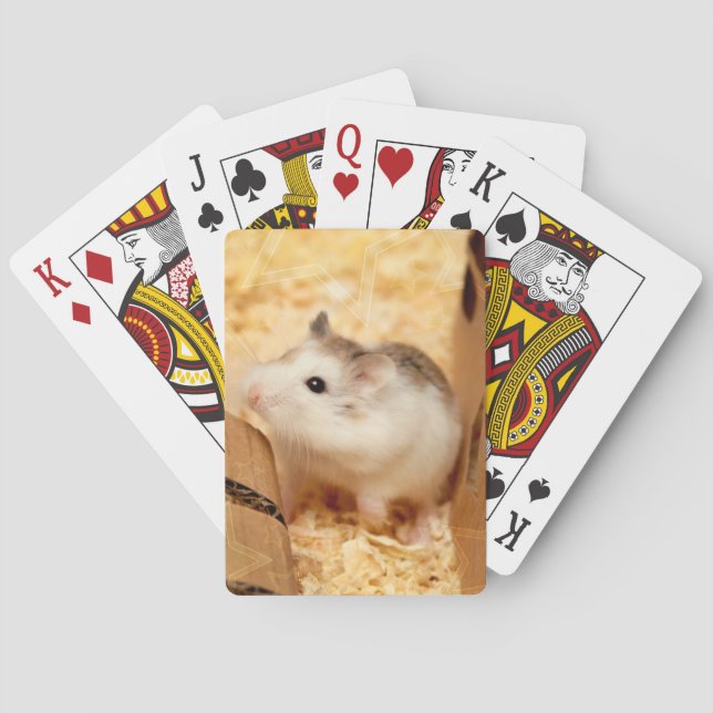 Hammyville - Cute Hamster Casinokort (Baksidan)