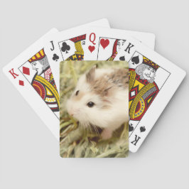 Hammyville - Cute Hamster Casinokort