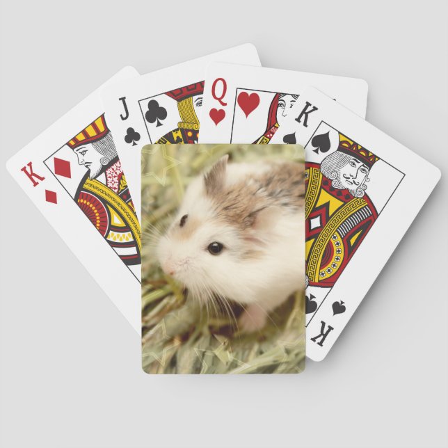 Hammyville - Cute Hamster Casinokort (Baksidan)