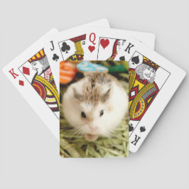 Hammyville - Cute Hamster Casinokort