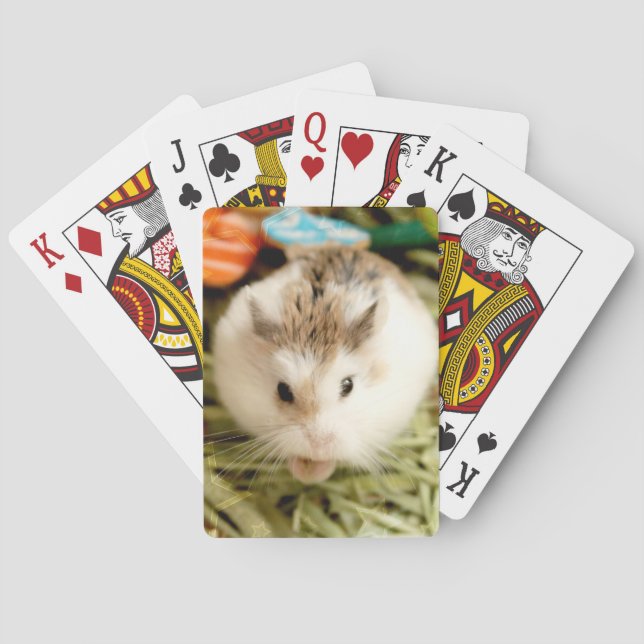 Hammyville - Cute Hamster Casinokort (Baksidan)