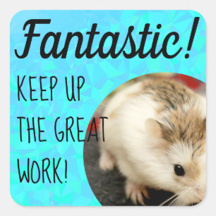 HammyVille - Cute Hamster Fantastic Underbar Work Fyrkantigt Klistermärke