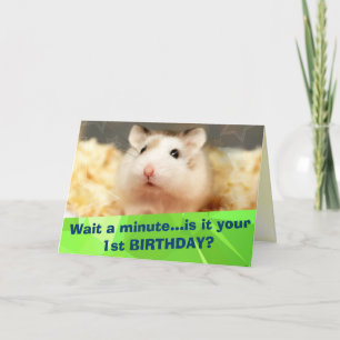 Hammyville - Cute Hamster Grattis på födelsedagen Kort
