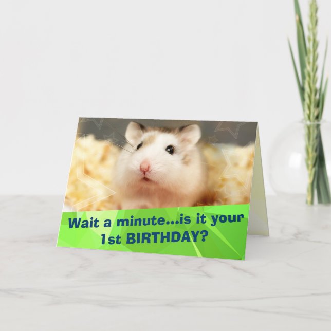 Hammyville - Cute Hamster Grattis på födelsedagen  Kort (Framsida)