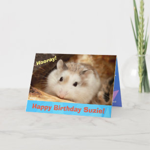 Hammyville - Cute Hamster Grattis på födelsedagen Kort