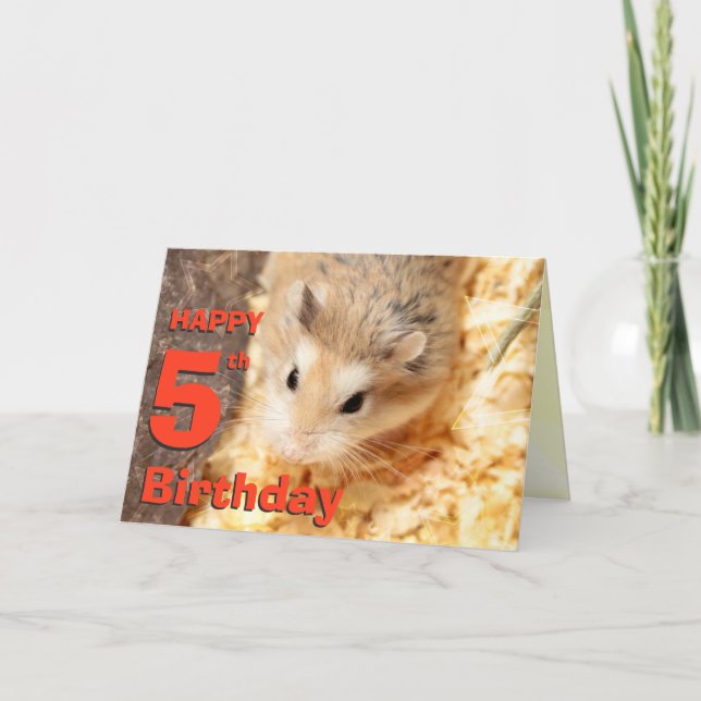Hammyville - Cute Hamster Grattis på födelsedagen  Kort (Framsida)