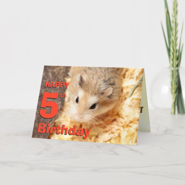 Hammyville - Cute Hamster Grattis på födelsedagen  Kort (Framsida)